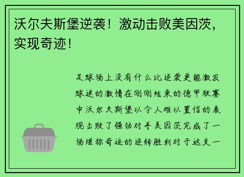 沃尔夫斯堡逆袭！激动击败美因茨，实现奇迹！