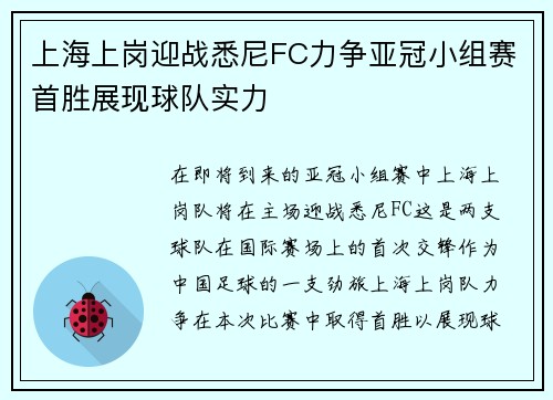 上海上岗迎战悉尼FC力争亚冠小组赛首胜展现球队实力