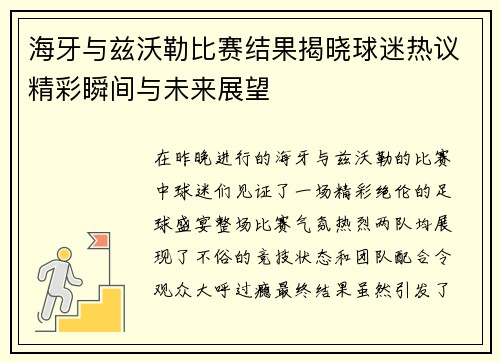 海牙与兹沃勒比赛结果揭晓球迷热议精彩瞬间与未来展望