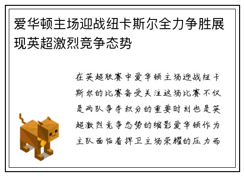 爱华顿主场迎战纽卡斯尔全力争胜展现英超激烈竞争态势