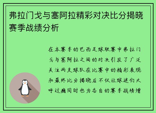 弗拉门戈与塞阿拉精彩对决比分揭晓赛季战绩分析