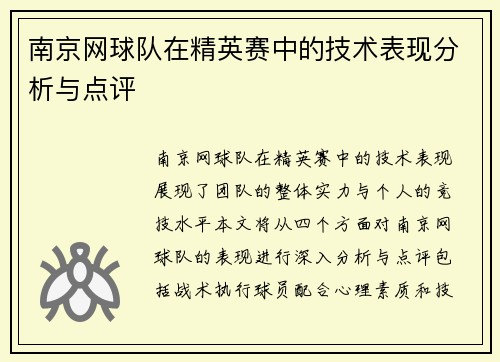 南京网球队在精英赛中的技术表现分析与点评