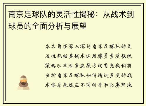 南京足球队的灵活性揭秘：从战术到球员的全面分析与展望